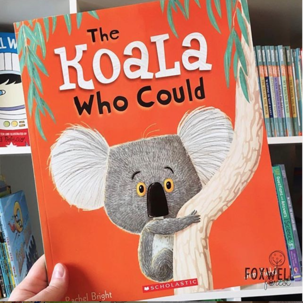 must-have-back-to-school-books-the-koala-who-could