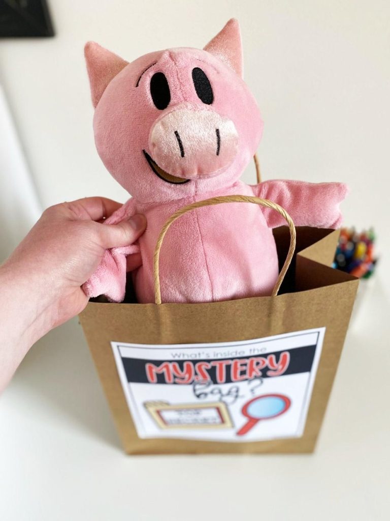 engage-students-in-learning-with-a-mystery-bag-stuffed-animal